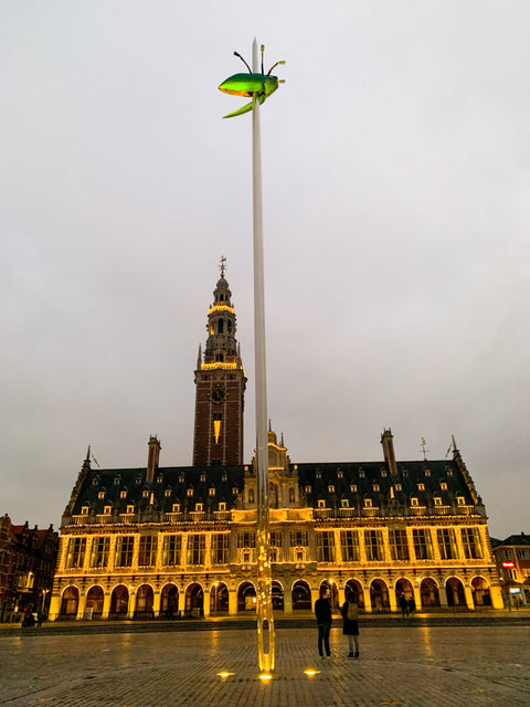 The KU Leuven University Library, rebuilt after destruction in both World Wars, is a neo-Renaissance landmark and war memorial. Its reading room, Snow White books, and panoramic tower make it a must-see in Leuven.