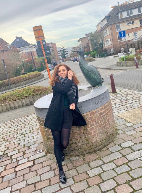 The Bronze Duck (De Dijle Eend) in Leuven