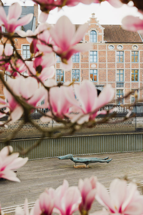 Postcard- Floral Leuven,Magnolia