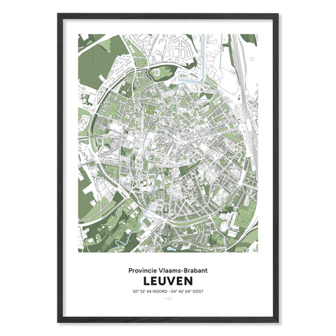 Framed poster featuring a detailed geographical map of Leuven with green and white topographic elements and coordinates, titled “Provincie Vlaams-Brabant Leuven.