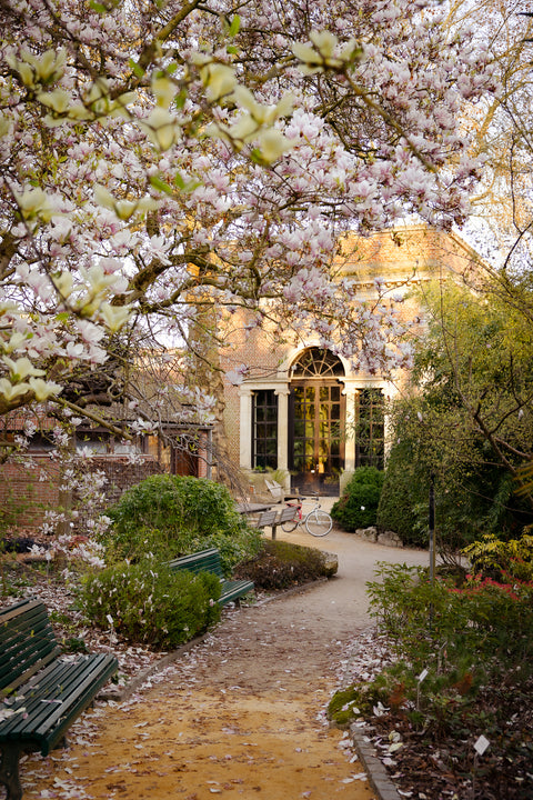 Postcard-Floral Leuven, Kruidtuin