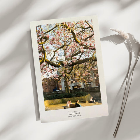 Postcard- Floral Leuven, Dijle terrace
