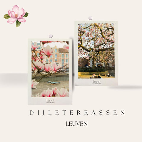 Postcard Set- Floral Leuven