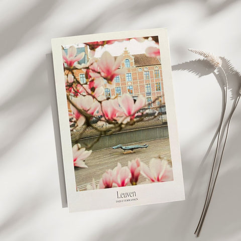 Postcard- Floral Leuven,Magnolia