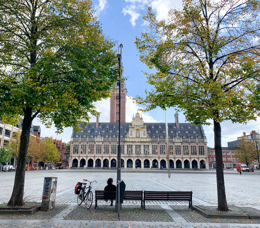 Leuven Ladeuzeplein Square