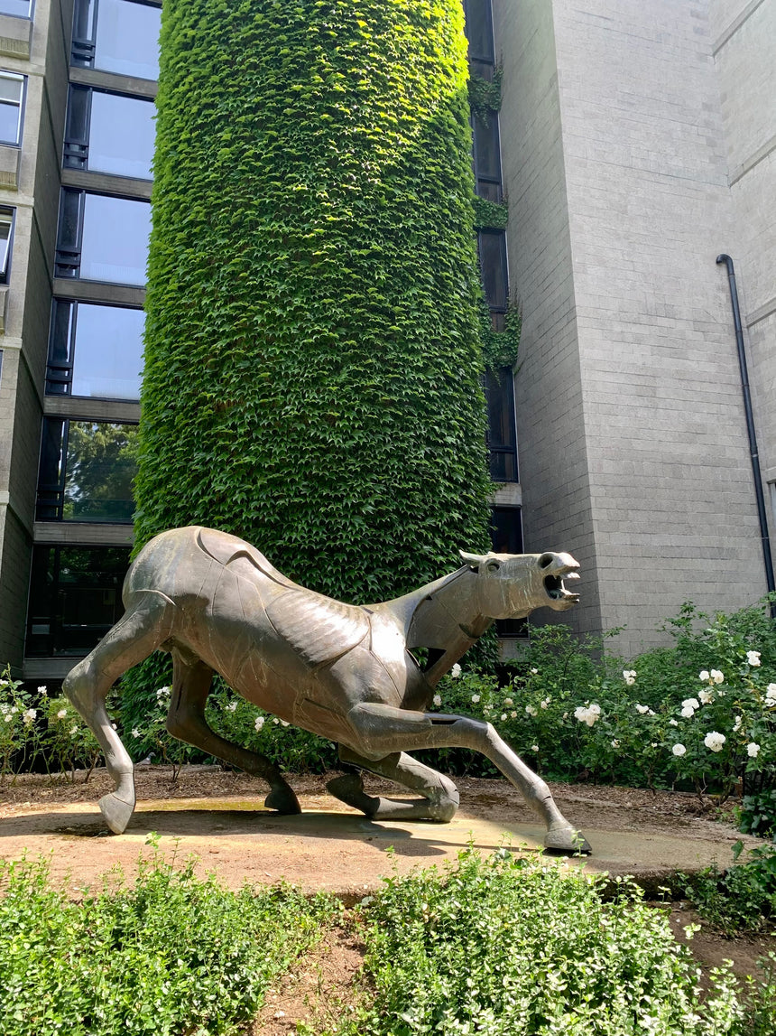 Falling horse statue in Leuven