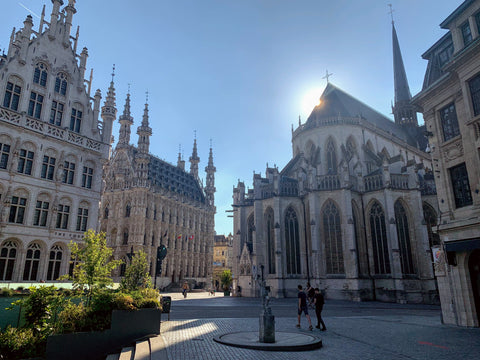 St. Peter's Church Leuven