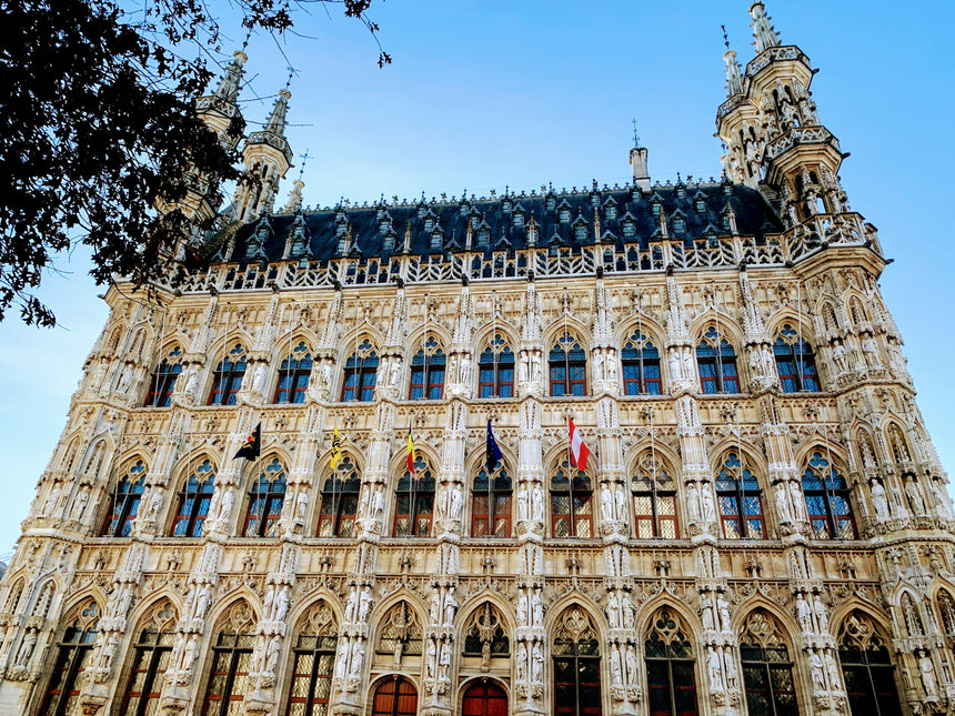 Old Town Hall of Leuven 