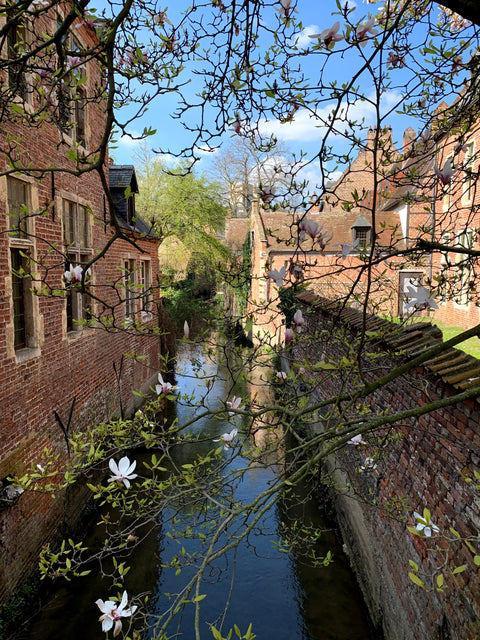 Groot Begijnhof of Leuven