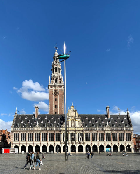 Leuven Ladeuzeplein Square 