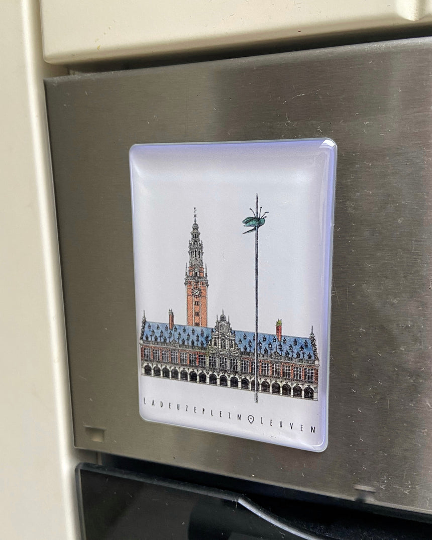 Epoxy Fridge Magnet- Ladeuzeplein