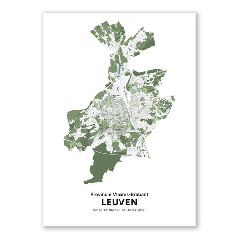 Framed poster featuring a detailed geographical map of Leuven with green and white topographic elements and coordinates, titled “Provincie Vlaams-Brabant Leuven.