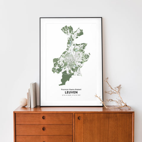 Framed poster featuring a detailed geographical map of Leuven with green and white topographic elements and coordinates, titled “Provincie Vlaams-Brabant Leuven.