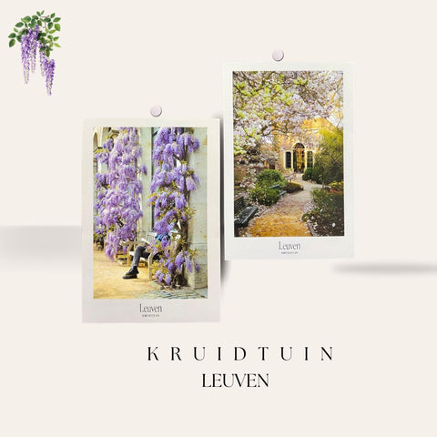 Postcard Set- Floral Leuven